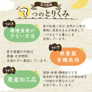 《数量限定》薬膳味噌(ハトムギ味噌)(計800g・400g×2パック) 味噌 麦味噌 自家栽培 ハトムギ 玄米麹 ハトムギ麹 麦麹 麹 こうじ 玄米 大豆 黒大豆 みそ汁 味噌汁 化学肥料不使用 農薬不使用 有機 有機農業 有機肥料【雲月農園】_y456