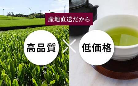 学生さん達と考えました！ お試し 深蒸し茶 バラエティ セット お茶 お茶セット 緑茶 深蒸し茶 ほうじ茶 玄米茶 静岡緑茶 日本茶 急須