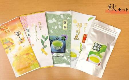 【4回定期便】 静岡茶 春夏秋冬 深蒸し茶セット お茶 お茶セット 緑茶 静岡緑茶 日本茶 濃厚 ティーバック お茶定期便 急須 玄米茶 抹茶 冷茶ボトル