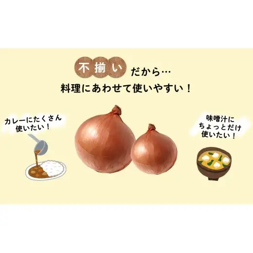 「小玉サイズたまねぎ約9キロ」有機肥料栽培・除草剤不使用 玉ねぎ【輝ファーマーズ】 たまねぎ 小ぶり 便利 お料理 産地直送 健康 こだわり たまねぎ F12-56
