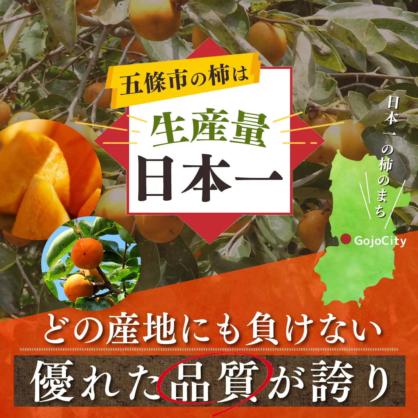 西吉野産 富有柿（冷蔵）2Lサイズ×12個 | 果物 柿 