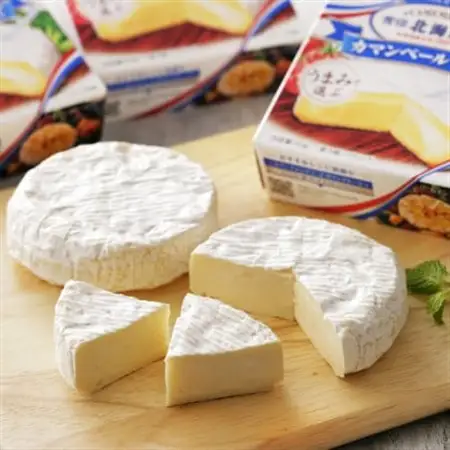 【2ヵ月毎定期便】雪印北海道 カマンベールチーズ 1箱(90g×10個入り)全3回_卵・乳製品 チーズ    定期便 定期便  _【配送不可地域：離島】【4014037】