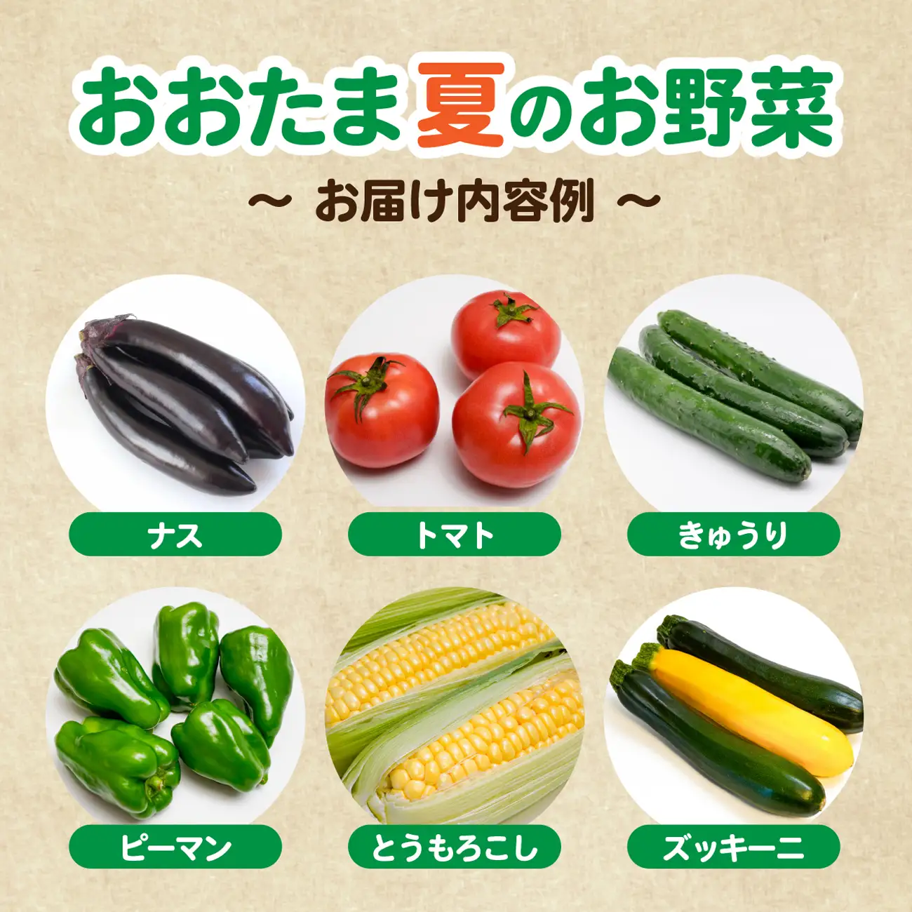 野菜セット 野菜 10種類前後 数量限定