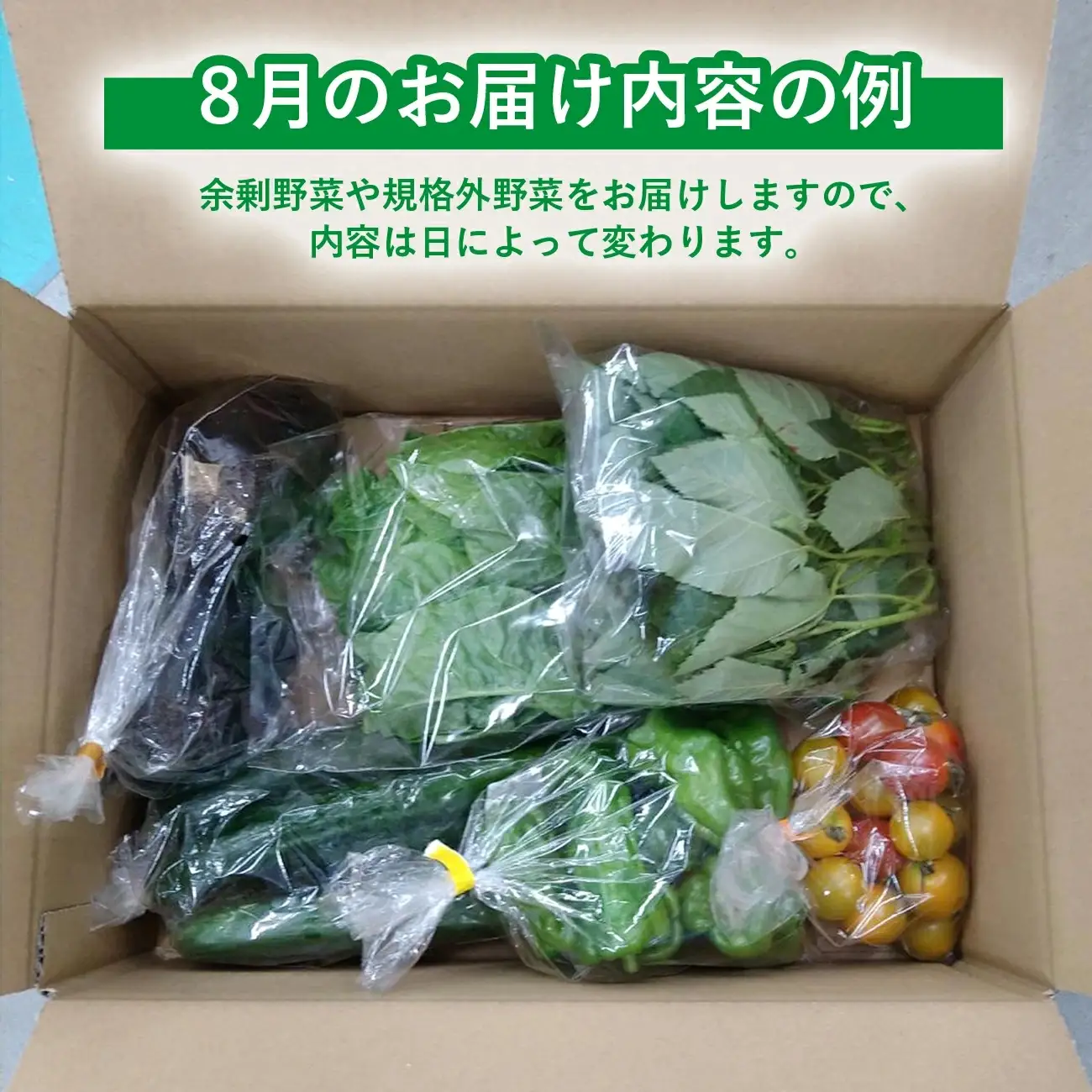 訳あり ご家庭用野菜 5種類程度【準備ができ次第配送】