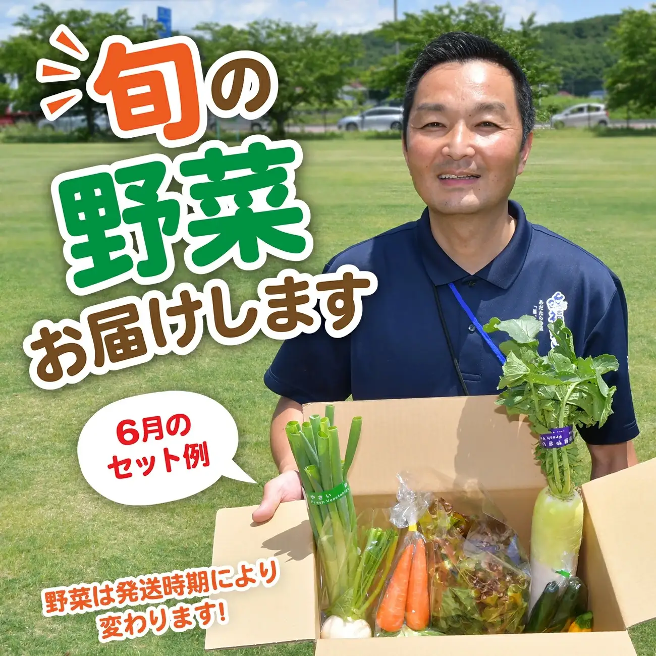 野菜セット 10種類前後【先行予約】 野菜