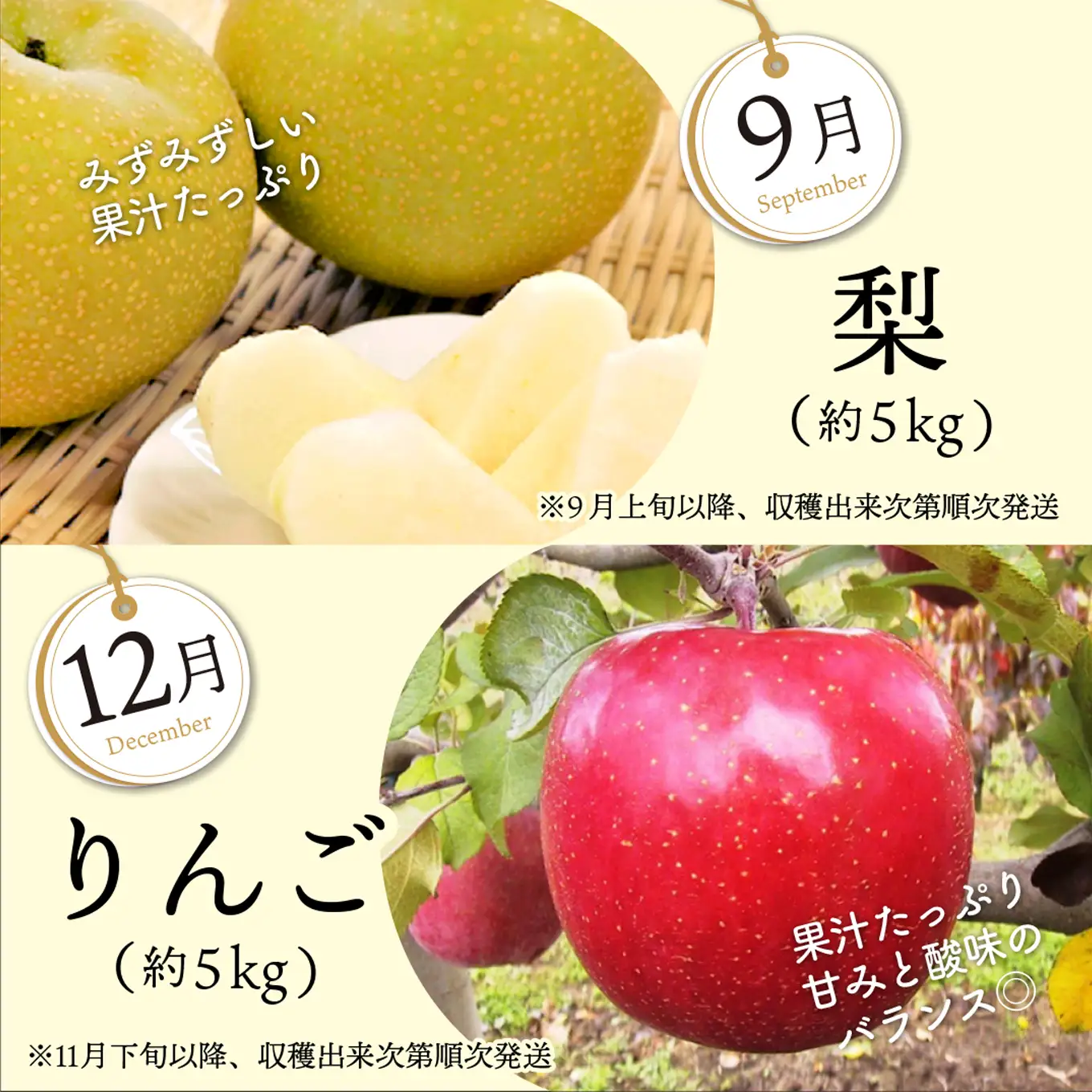 果物 フルーツ定期便 4回 ( さくらんぼ / 桃 / 梨 / りんご )