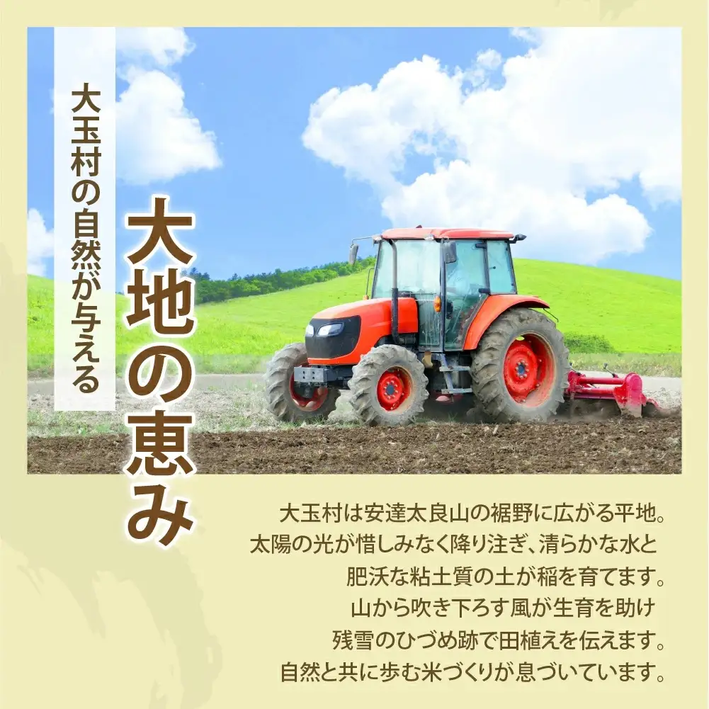 特別栽培米 10kg 白米 コシヒカリ 特別栽培米 精米