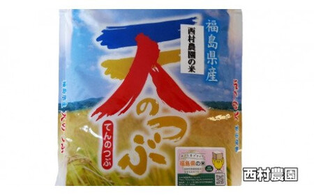 米 定期便 天のつぶ 60kg ( 5kg × 12ヶ月 ) 《 令和8年 》 福島県 大玉村 西村農園 てんのつぶ テンノツブ 精米 定期 12回