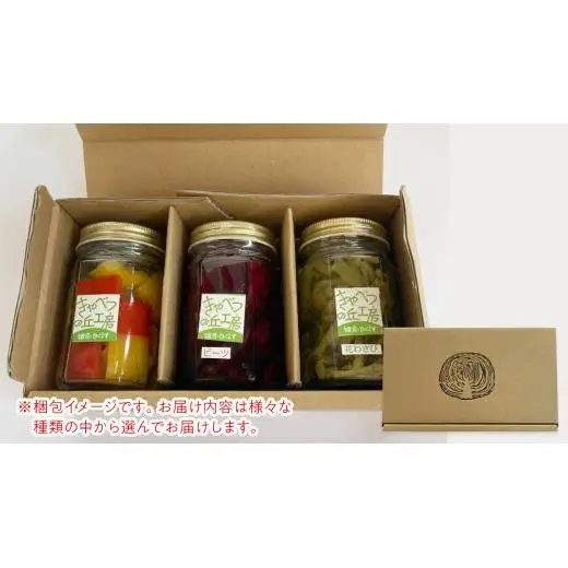 ピクルス 3種 の セット [AB080tu]