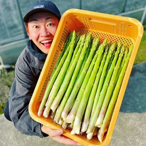 アスパラ王子が育てた自慢のアスパラ「極み」1kg (さぬきのめざめ おおもりや)【予約受付：ご用意でき次第発送】【H-56】