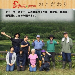 ＜ファーザーズファーム＞野菜セット 野菜