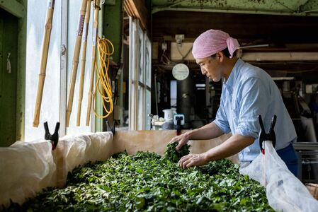 伝統ある茶園が贈る幻の茶品種「いずみ」の和紅茶＆緑茶の「さしま茶満喫茶セット」【創業1839年】【幻の品種】 |  お茶 80グラム 茶 緑茶 茶葉 日本茶 煎茶 さしま茶 猿島茶 飲みくらべ 飲み比べ 詰合せ 詰め合わせ 取り寄せ お取り寄せ 老舗 ギフト 贈答 贈り物 プレゼント お中元 お歳暮 茨城県 古河市 直送 農家直送 産地直送 送料無料   _BM11