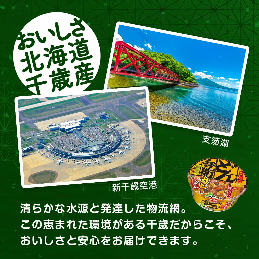 【定期便3カ月】日清 北のどん兵衛 カレーうどん [北海道仕様]24個