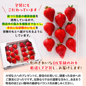 暖家のいちご　完熟あまおう　贈答用2パック【2月中旬以降順次発送】AB001
