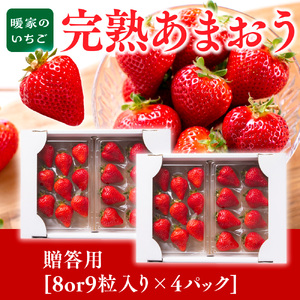 暖家のいちご　完熟あまおう　贈答用4パック【2月中旬以降順次発送】AB002
