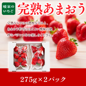 暖家のいちご 完熟あまおう 275g×4パック【3月中旬以降順次発送】　AB004