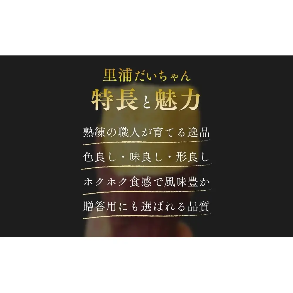 【予約受付中・2026年10月下旬頃より順次発送】鳴門産 さつまいも 『 里浦だいちゃん 』 3kg | なると金時 甘い ホクホク スイーツ 焼き芋 干し芋 天ぷら サラダ けんぴ きんつば