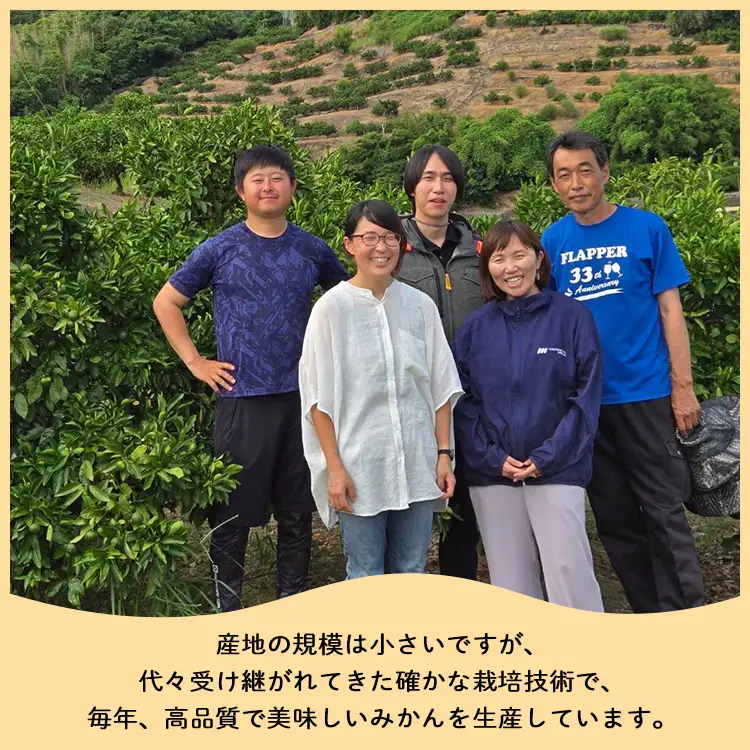 フルーツ 山北みかん 大玉サイズ(L,2Lサイズ) 10kg 約60～80個入り フルーツ yk-0065