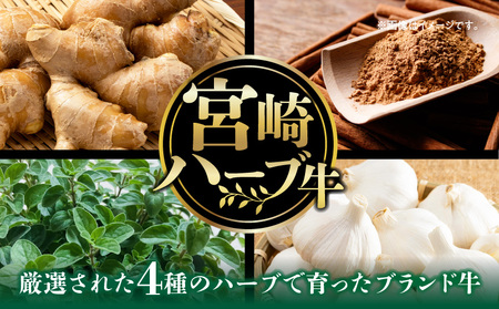 宮崎ハーブ牛サーロインステーキ 合計600g ハーブ牛 ステーキ