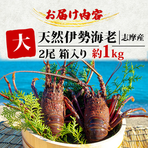 【先行予約】伊勢海老  伊勢海老 大 2尾 1kg
