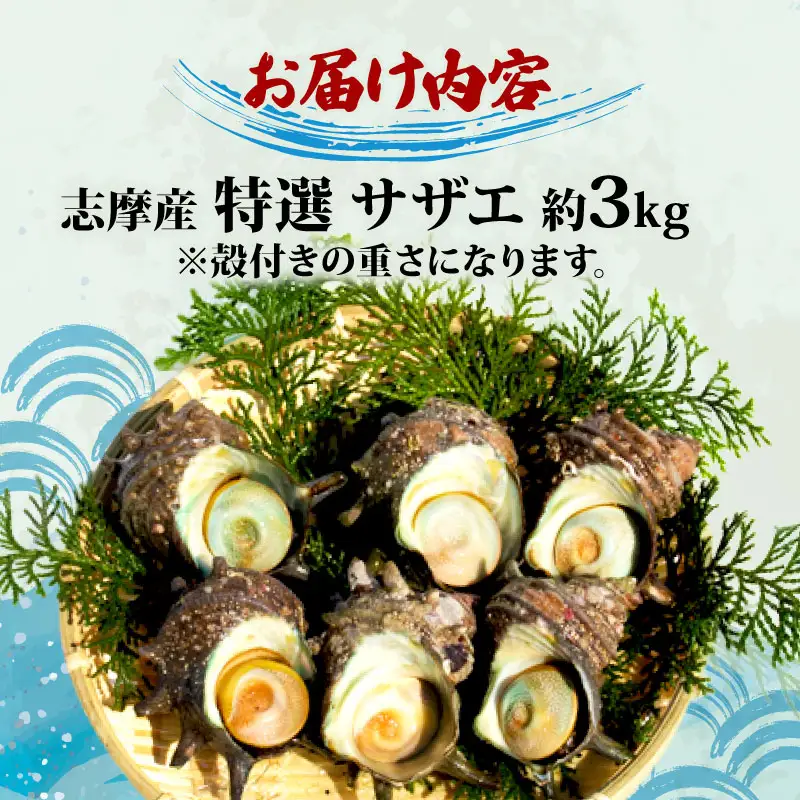 志摩産特選サザエ3ｋｇ入り 三重 志摩 伊勢志摩 新鮮 海鮮 海産物 魚介 魚貝 サザエ 貝 刺身