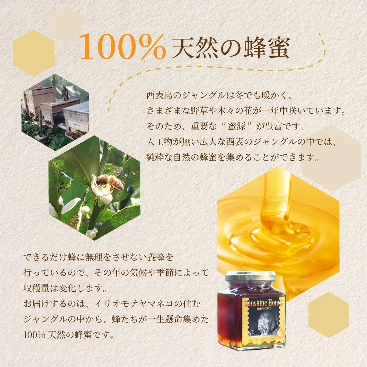 Sunshine Honey Iriomote（サンシャインハニー西表）