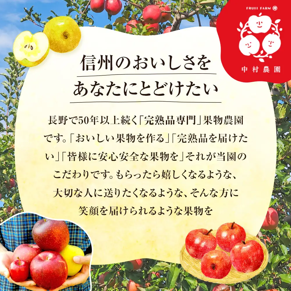 フルーツファーム中村農園　【9月中旬発送 先行予約】樹上熟成　紅玉 3kg | りんご 紅玉  加工用