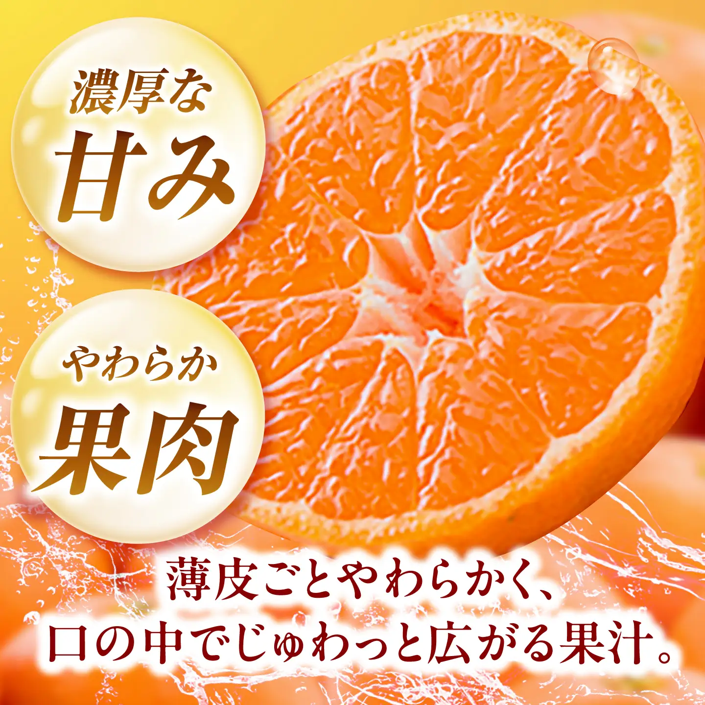 ハウスみかん 2kg フルーツ 果物 みかん BJBI001