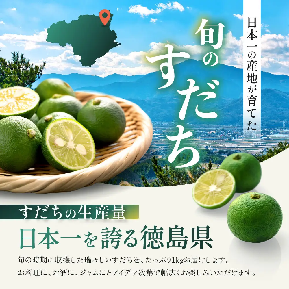 露地すだち 1箱（約1kg） 先行予約 ｜すだち