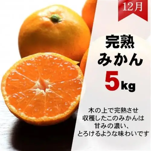 【発送月固定定期便】ご家庭用 2種のみかん定期便 (ゆら早生みかん・完熟みかん)各約5kg全2回【配送不可地域：離島・北海道・沖縄県】【4052396】