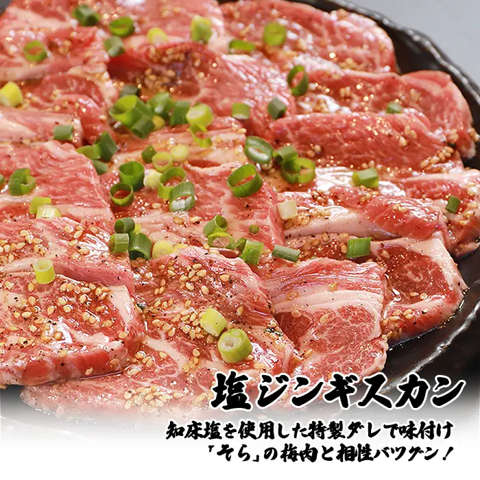 【定期便：全3回】知床ジンギスカン店「そら」ラム肩ロースジンギスカン2種セット 計600g（味付け×300g・塩×300g）【1601101】