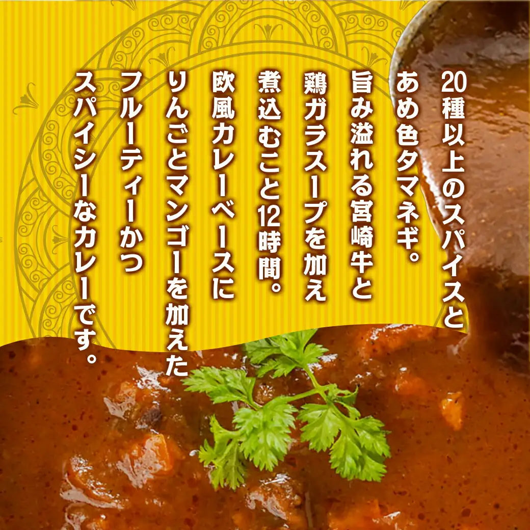 トプカ☆宮崎牛カレー5食セット※ポスト投函〔LD-J904〕_(都城市) カレー専門店 手づくり 宮崎牛 ビーフカレー レトルト ポスト投函