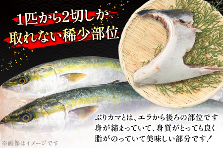 訳あり 三陸産 ぶりカマ 約3kg 