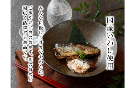 6回 定期便 訳あり 業務用 いわし煮魚 3種 ×10尾 計30尾入 約1.5kg ×6回 総重量 約9kg 
