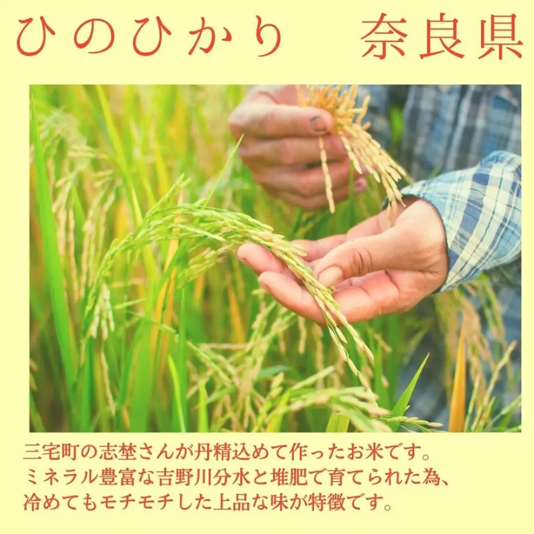 【6回定期便】ひのひかり 玄米 5kg×6回 全30kg 奈良県 三宅町 ヒノヒカリ 志埜米穀店
