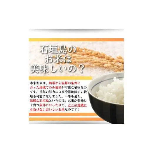 【石垣島産ひとめぼれ】日本最南端の日本一早い新米・10kg　SI-59-1