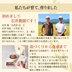 パックご飯 熟成3日 発芽玄米 30個(3pac×10セット) コシヒカリ 酵素 | パックご飯 新潟県
