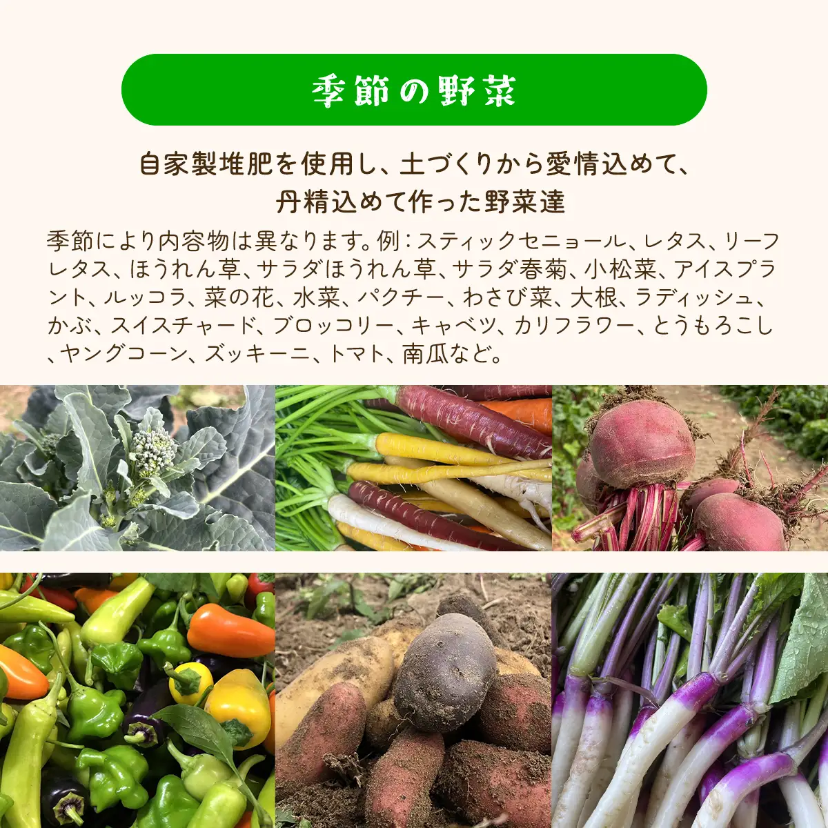 【自家製堆肥による特別栽培】季節の野菜と自家製ドレッシング詰め合わせ ／ 野菜 やさい ドレッシング 自家製  千葉県 山武市 SMBP002