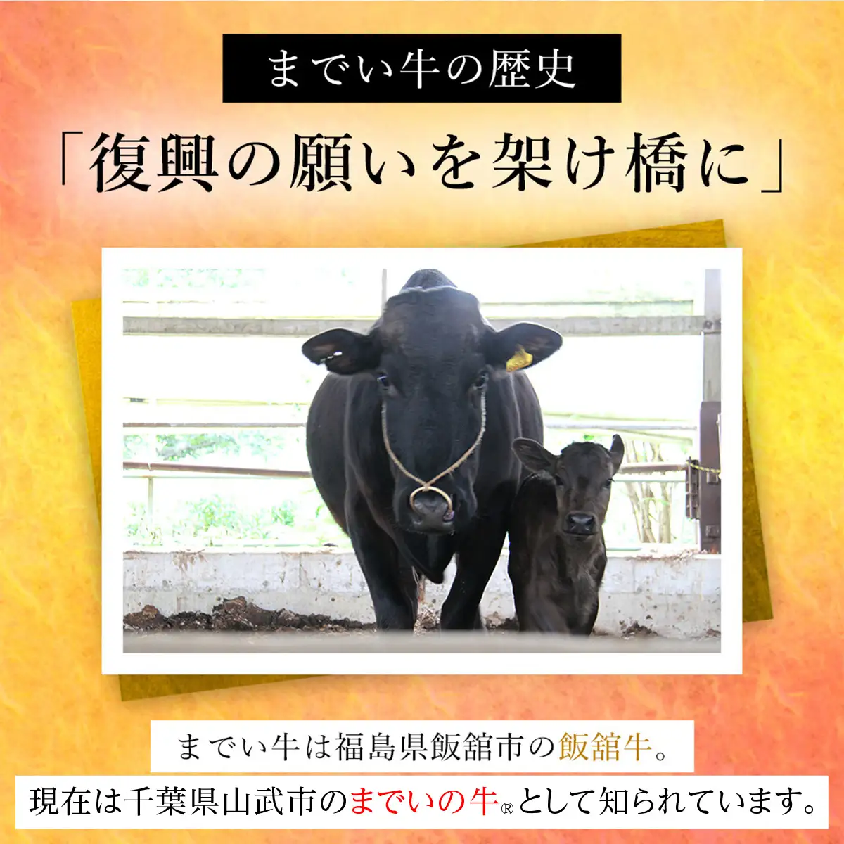 【約500g・肩ロース・すき焼き用】山武牛「までいの牛®」肩ロース 牛肉 お肉 黒毛和牛 和牛 国産牛 千葉県 山武市 SMAJ010