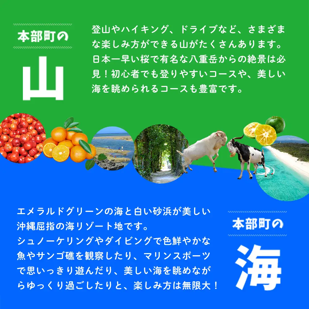 【沖縄県本部町】HISふるさと納税旅行クーポン 60,000円分