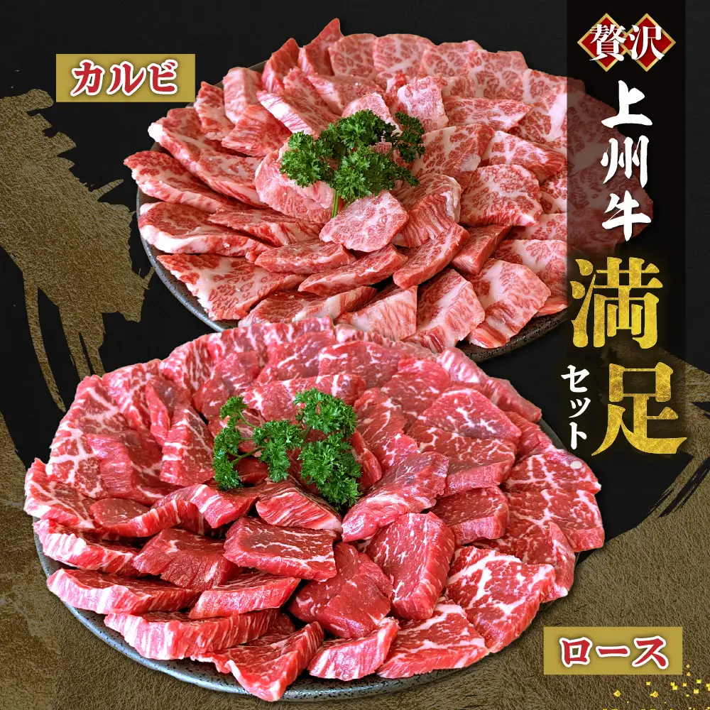 上州牛 カルビ ロース 満足 セット 約1.0kg (各500g×計2パック) 群馬県 千代田町※沖縄・離島配送不可 