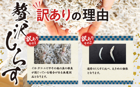 【しらす】 1kg 訳あり 冷凍 ちりめん しらす干し