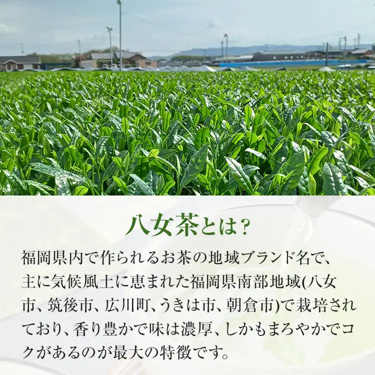 【八女茶】原田茶園 和紅茶ティーバッグ 和日 56g 2袋（4g×7）×2 和紅茶 紅茶 ティーバック ティーパック お湯出し 水出し オフィス アウトドア 旅行先 お家 学校