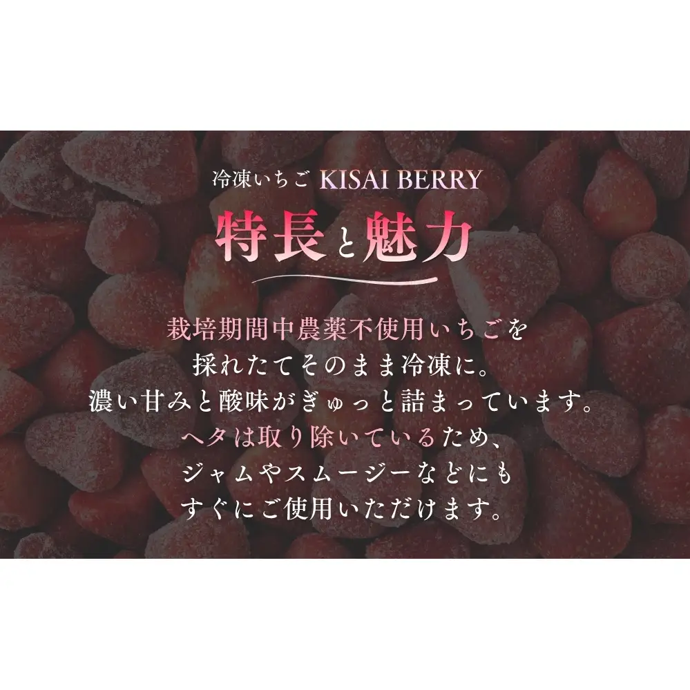KISAI GARDEN 冷凍 KISAI BERRY 2kg | 苺 いちご イチゴ 徳島 鳴門 果物 フルーツ スムージー ジャム　冷凍　いちご