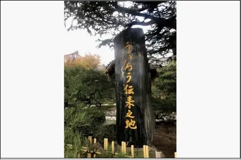 博多ういろう3個入り 2種類【定番3種(抹茶・白餡・ほうじ茶)と栗】 | 菓子 おかし 食品 人気 おすすめ 送料無料