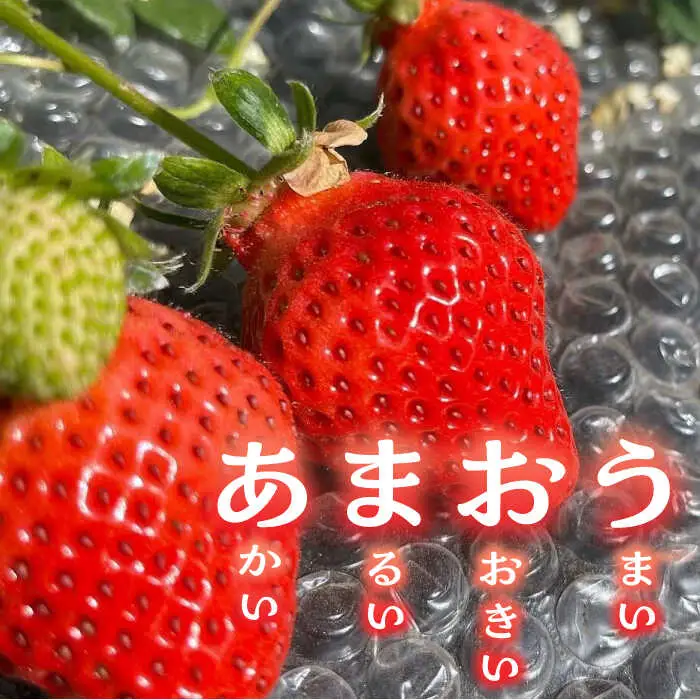 【先行予約】津田くん農園のあまおう 1kg VDG001 あまおう