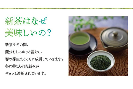 【予約返礼品/2025年5月以降順次発送】新茶 八女星野茶 100g×3本 緑茶 八女茶 お茶 茶葉 セット お取り寄せグルメ お取り寄せ 福岡 お土産 九州 福岡土産 取り寄せ グルメ 福岡県