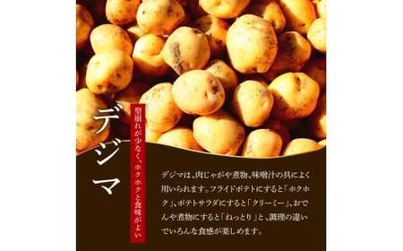 【訳あり】秋じゃがいも 令和8年産 5kg 訳あり 令和8年11月下旬発送開始