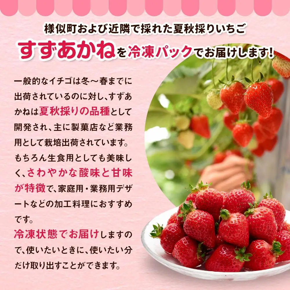 北海道産 冷凍いちご4kg 冷凍いちご