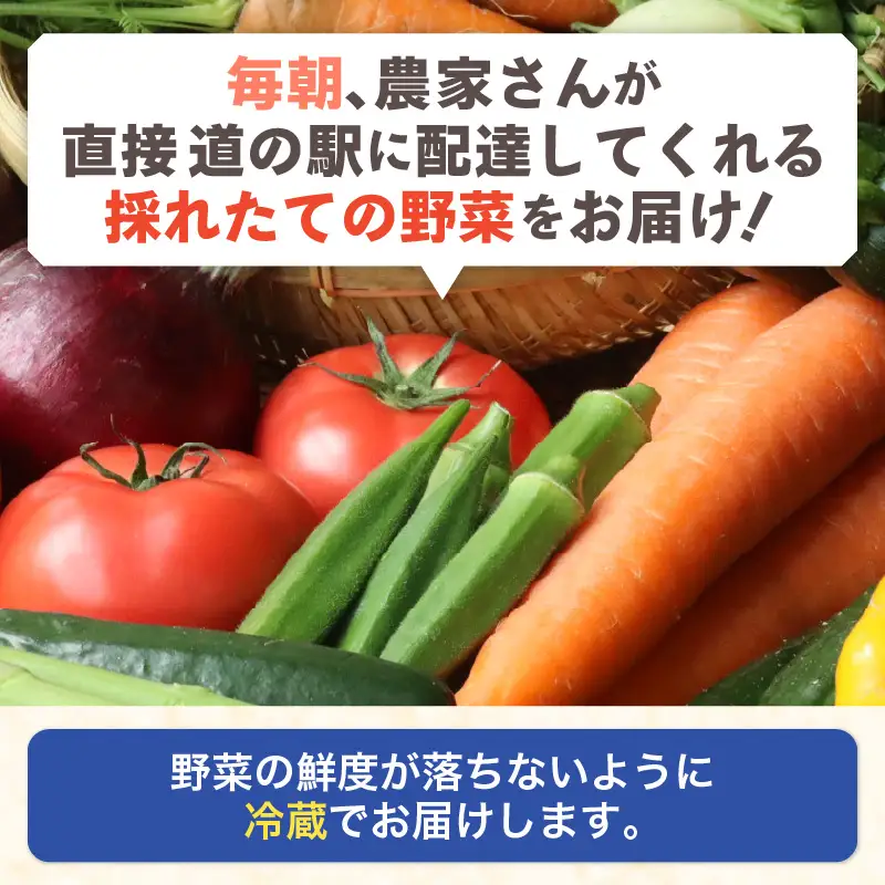 【1週間以内で発送！】道の駅駅長チョイス！ 旬の野菜セット 5品目以上 / 季節 野菜 ボックス BOX セット セレクト 農家 おまかせ 多品目 旬 詰め合わせ 根菜 葉物  [aw090-a002]